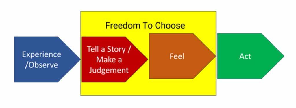 freedom to choose