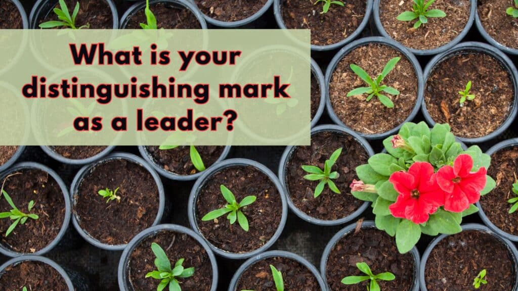 What is your distinguishing mark as a leader